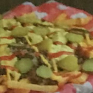Loaded Fries