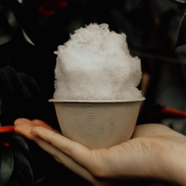 Pina Colada Snoball