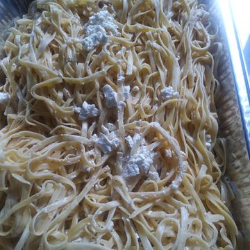 Chicken Alfredo