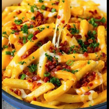 Cheese French Fries!