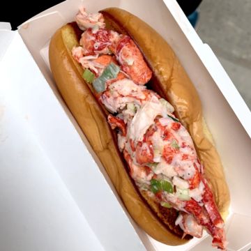 The Main Lobster Roll 