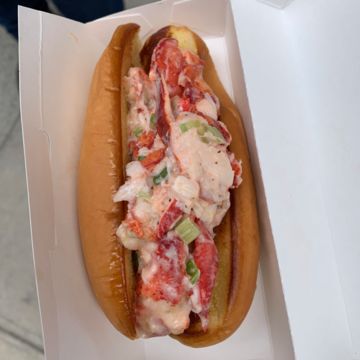 Connecticut Lobster Roll 