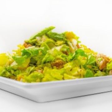Grilled Chicken Salad