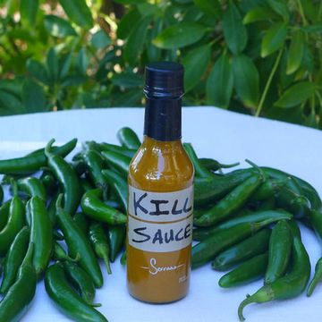 Hot Sauce