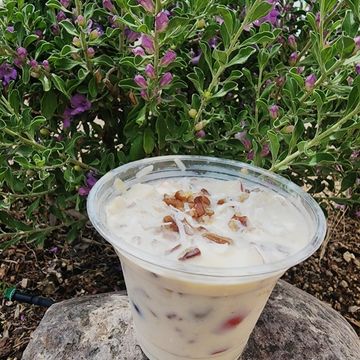 Fresh Fruit Cup