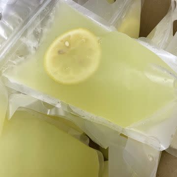 Fresh Lemonade Pouches
