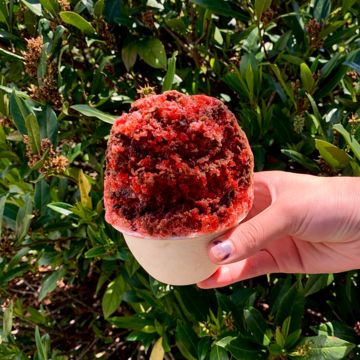 Cherry Covered Chocolate Stuffed Snoball