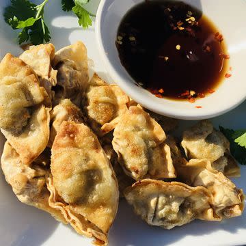 Chicken Dumplings 