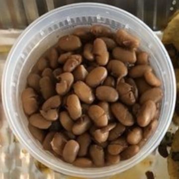 Side of Beans 