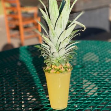 Pineapple Lemonade 