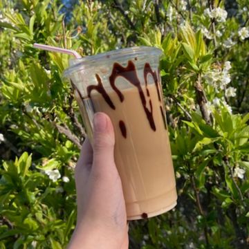 Marina Del Rey Mocha