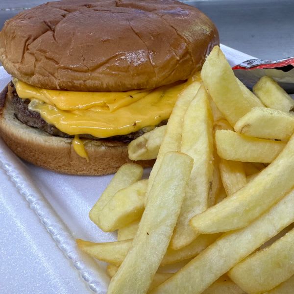 Kids burger with fries 