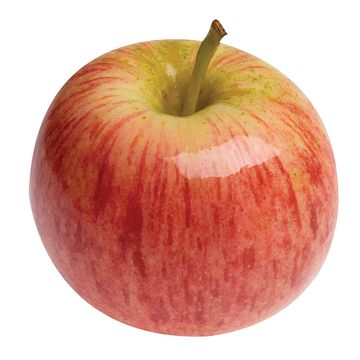 Fresh Fruit