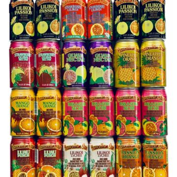 Hawaiian Sun Juice Cans