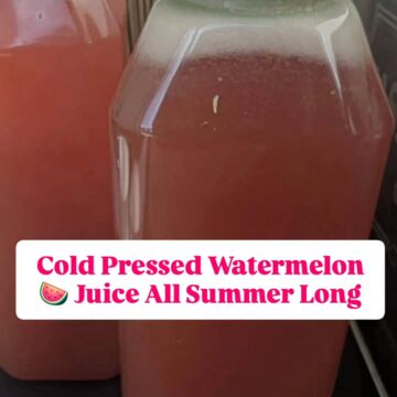 Watermelon Blueberry Summer Cooler