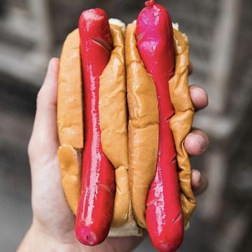 Maine "Red Snapped" Dog