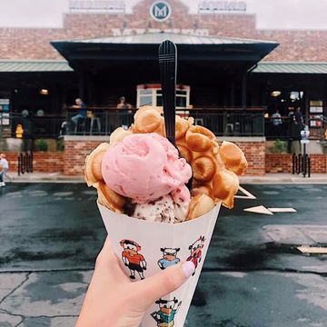Puffle Cones