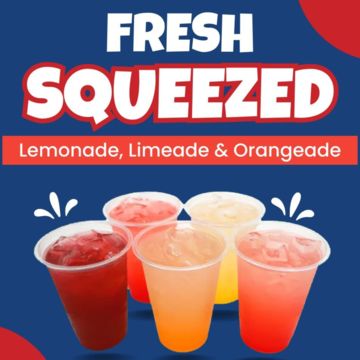 Large Fresh Squeezed Lemonade