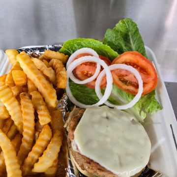 Turkey Burger and Fries