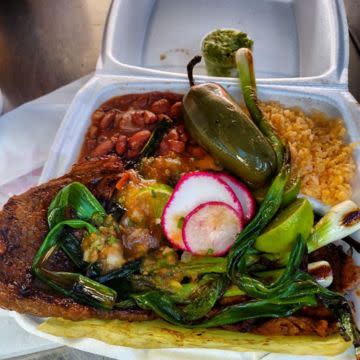 Birria Plate 