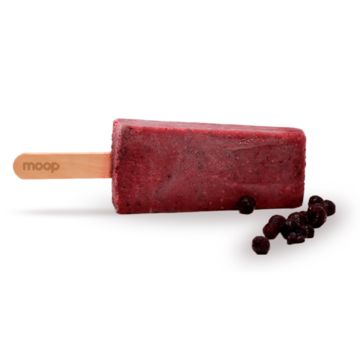 Berries Malbec *Boozy