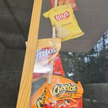 CHIP CHOICES