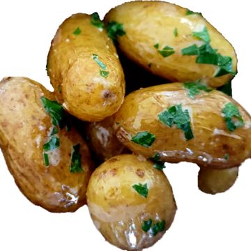 NY style Salt Potatoes