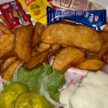 Turkey Burger and Fries