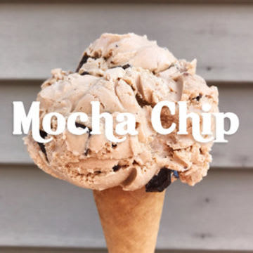 Mocha Chip Ice Cream