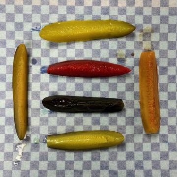 PickleZ