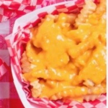 Side of Cheese Fries