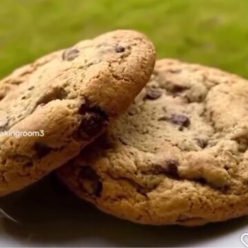 Chocolate Chip Cookie