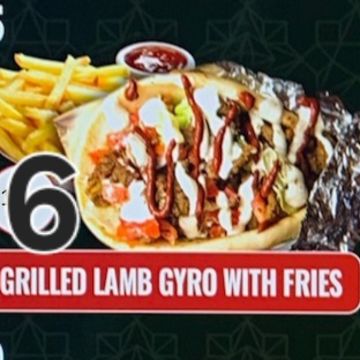 Grilled Lamb Gyro w/ Fries 