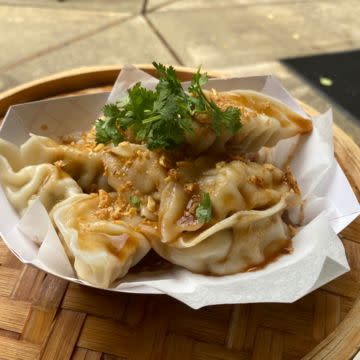 Chicken Dumplings 