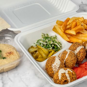 Falafel Plate