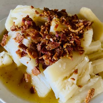 Yucca 