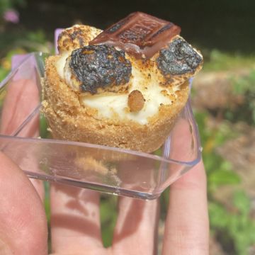 Swashbuckler S'more Mini Cheesecake