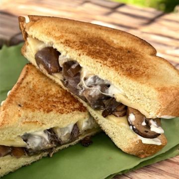 Ultimush Melt