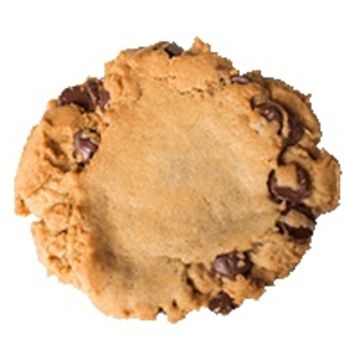 Chocolate Chip Cookie 