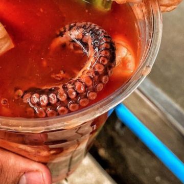 Octopus Cocktail 