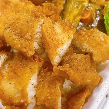 Tempura Fish w/ Rice & Japanese Veg. Curry