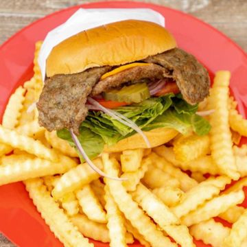Gyro Burger w/ Fries