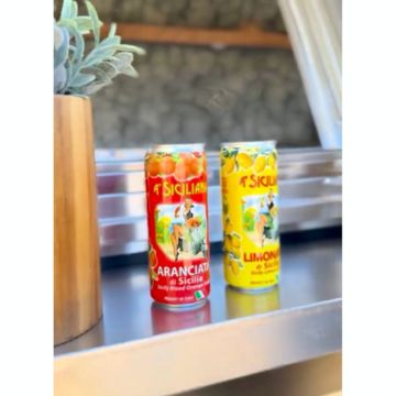 Italian Soda or sparkling water