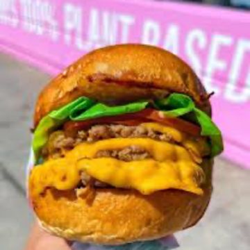 Earth Burger