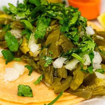 Nopal Taco