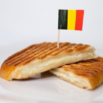 Grilled Cheese panini