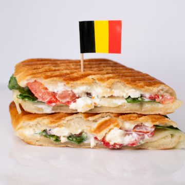 Mediterranean panini