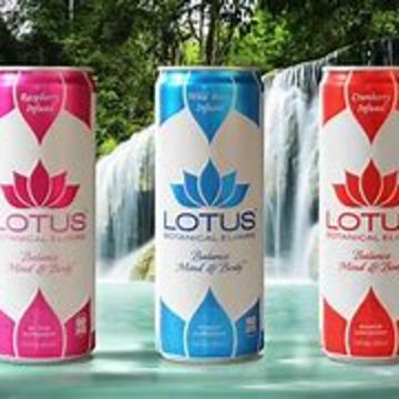 Lotus Energy