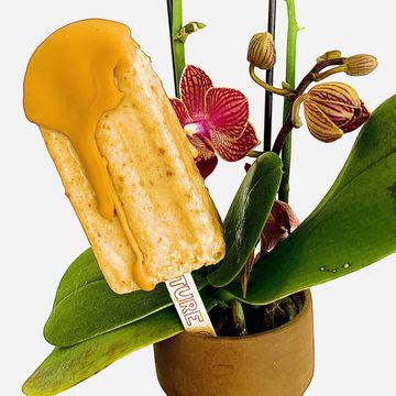 Cookie Butter® Ice Pop