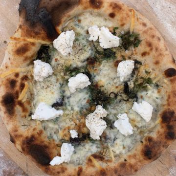 Ricotta